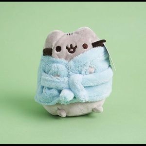 Fall 2018 subscription box Pusheen